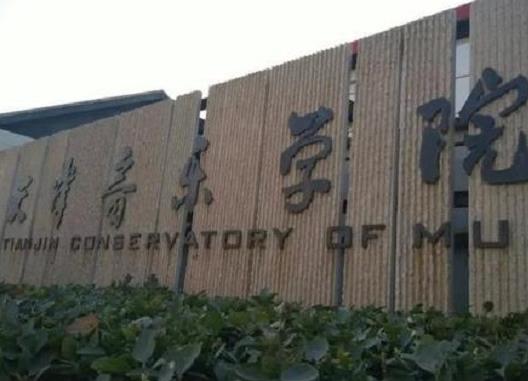 全國十大音樂學院排名,中央音樂學院、上海音樂學院發展很好