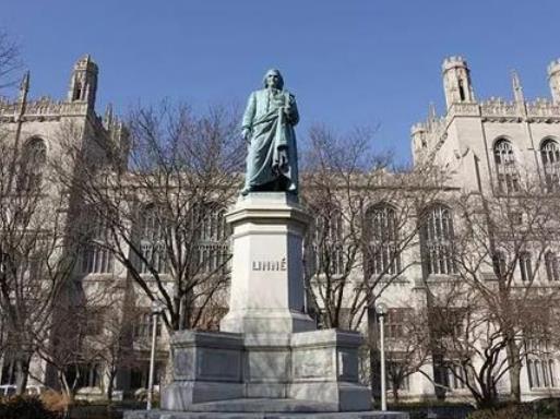 世界最頂尖的十所大學名單,哈佛大學、斯坦福大學有實力