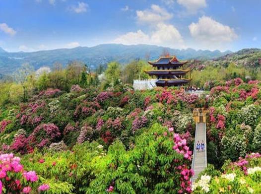 貴陽十大最值得去的景點,黃果樹瀑布、銅仁大峽谷風景十分優美