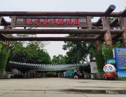 東莞十大免費景點排名,香市動物園、粵暉園很具有藝術價值