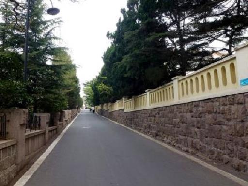 青島十大網紅景點排名,五四廣場是青島市地標、八大關適合拍照