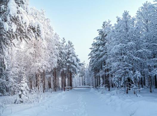 全球六大最美雪景,瑞士圣莫里茨、日本北海道欣賞絕美冬日美景