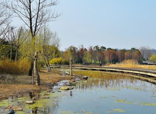 無(wú)錫免費(fèi)濕地公園排名,蠡湖國(guó)家濕地公園、運(yùn)河公園值得一去