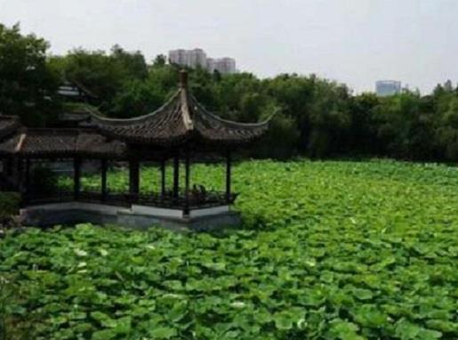 無(wú)錫免費(fèi)濕地公園排名,蠡湖國(guó)家濕地公園、運(yùn)河公園值得一去