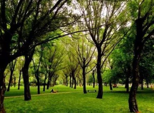 鄭州好玩又免費的景點排名,鄭州科技館、河南藝術中心歷史悠久