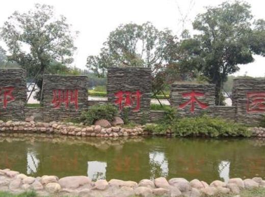 鄭州好玩又免費的景點排名,鄭州科技館、河南藝術中心歷史悠久