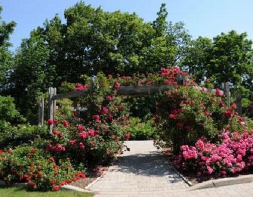 加拿大十大最受歡迎景點,尼亞加拉瀑布、班夫國家公園驚心動魄