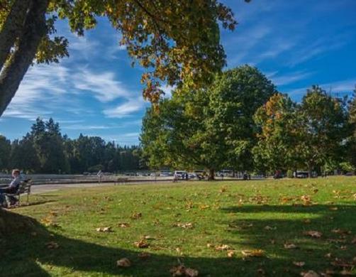 加拿大十大最受歡迎景點,尼亞加拉瀑布、班夫國家公園驚心動魄