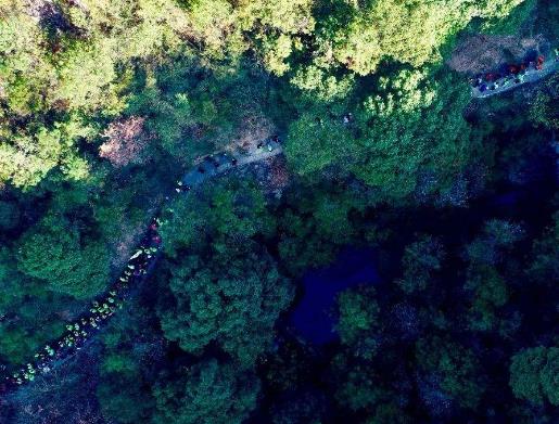 中國十大人少好玩的景點,羅平峰林、馬嶺河峽谷環境清幽