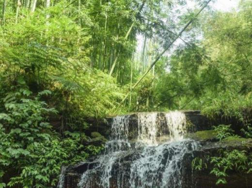 中國十大人少好玩的景點,羅平峰林、馬嶺河峽谷環境清幽