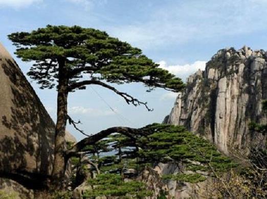 中國華東十大熱門景區, 廈門鼓浪嶼有“萬國建筑博覽”的美譽
