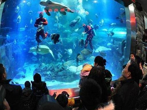 長沙十大最受好評景點,岳麓山自然景觀多、橘子洲景色秀美