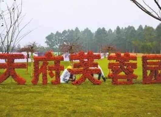 成都坐地鐵就能到的景點,文殊院古色古香、環球中心功能眾多