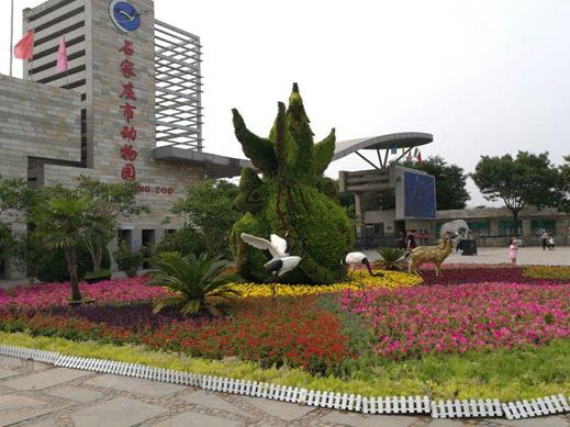石家莊十大最受好評景點,西柏坡很受歡迎、隆興寺規模大