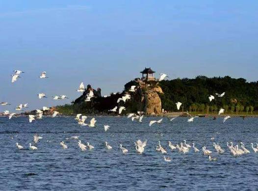 河北十大冬季旅游好去處,沕沕水風景區、金山嶺長城旅游價值高