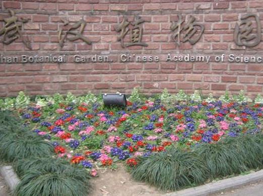 武漢十大冬季旅游好去處,東湖風景區、武漢市黃鶴樓公園資源豐富