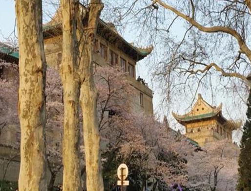 武漢十大冬季旅游好去處,東湖風景區、武漢市黃鶴樓公園資源豐富