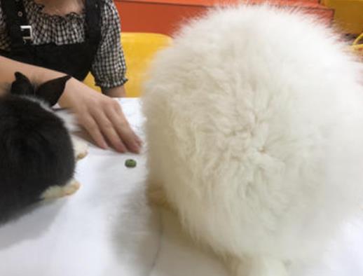 成都十大購物中心排行榜,成都遠洋太古里、成都大悅城很熱鬧