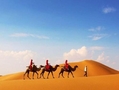 寧夏七大必去之地,西夏王陵非常神秘、沙坡頭壯麗而奇特