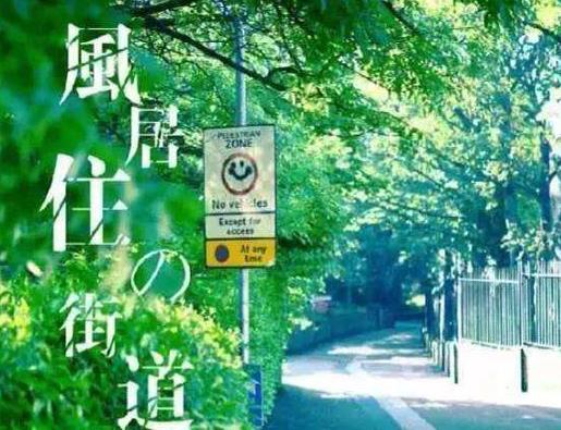 世界十大震撼人心的純音樂,風居住過的街道、卡農讓人陷入其中