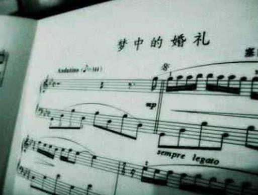 世界十大震撼人心的純音樂,風居住過的街道、卡農讓人陷入其中