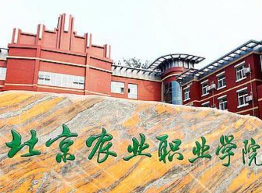 北京十大職業教育機構,北京電子科技職業學院、北京財貿職業學院很專業