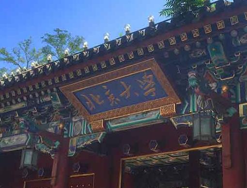 世界十大科學院排行榜,中國科學院、哈佛大學的實力都很強