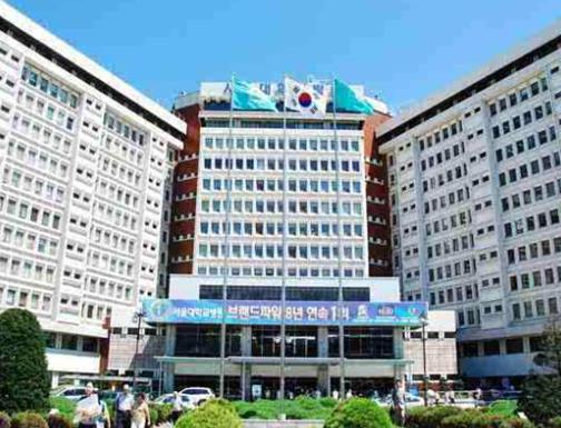 韓國最好的大學排行,首爾大學是亞洲頂尖大學,韓國高等科技學院以研發為主