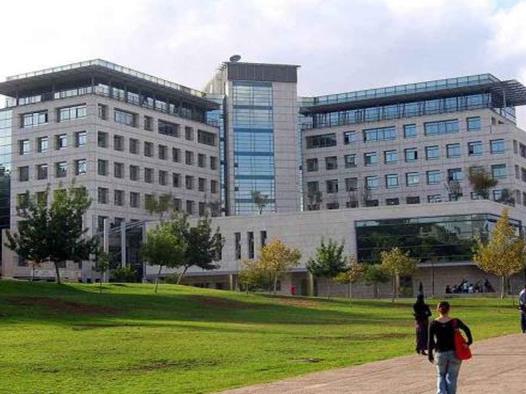 2020中外合資大學(xué)排行榜,寧波諾丁漢大學(xué)、西交利物浦大學(xué)外語專業(yè)都很強(qiáng)