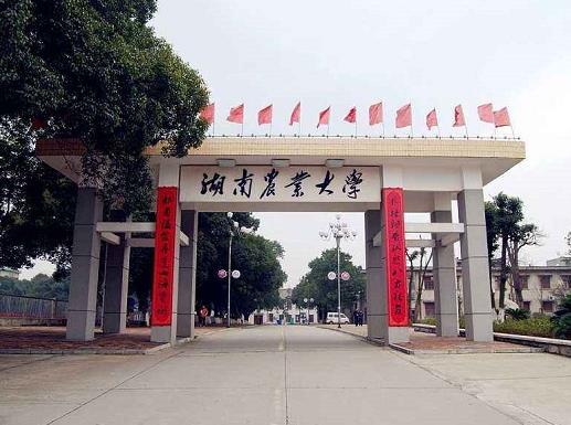 湖南十大名校大學排名,中南大學是西醫高等學校、湖南大學也很有名