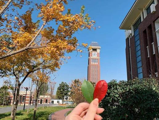 鄭州最土豪的學校排行榜,鄭州市鄭中國際學校、楓楊外國語中學學習環(huán)境好
