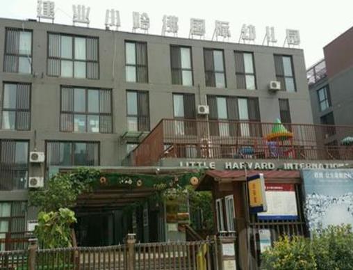 鄭州五大貴族學校排名,索易兒童成長中心、加拿大楓葉小熊幼兒園很一流