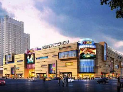 2020年湖北十大民營企業服務業,九州通醫藥集團股份有限公司技術領先