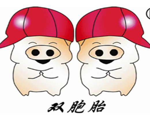 2020江西民營企業500強名單,正邦集團有限公司、晶科能源有限公司很不錯