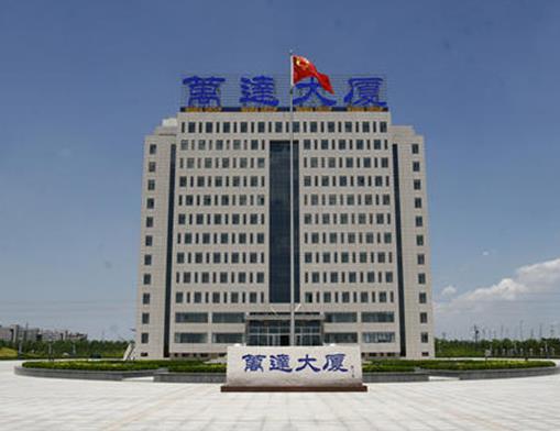 2020山東民營(yíng)企業(yè)500強(qiáng)名單,山東魏橋創(chuàng)業(yè)集團(tuán)有限公司員工數(shù)量多
