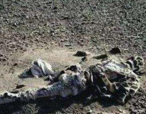 中國歷史十大謎團排行榜,三星堆之謎、楊貴妃生死之謎至今都是未解之謎