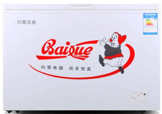 十大家用冰柜品牌排名,海爾冰柜、澳柯瑪冰柜質量值得信賴