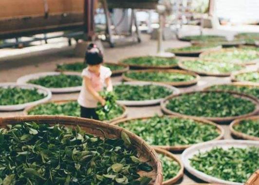 清遠(yuǎn)十大最好玩的景點(diǎn),少林禪院傳承中華文化、鳳凰臺建筑精美