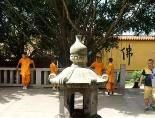 清遠(yuǎn)十大最好玩的景點(diǎn),少林禪院傳承中華文化、鳳凰臺建筑精美