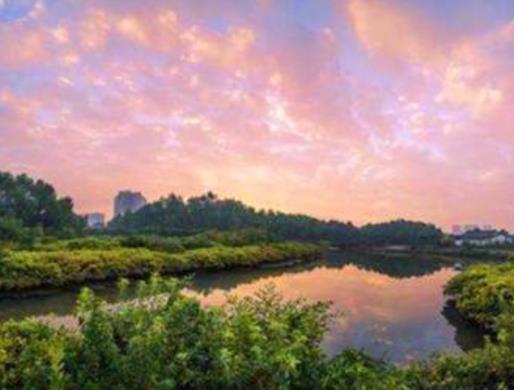 惠州十大最好玩的景點,羅浮山宗教文化特殊、惠州西湖景點很多