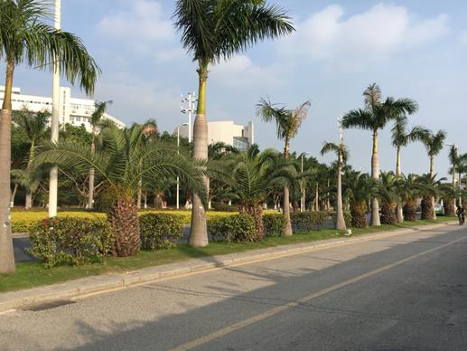 廈門十大景點排行榜,鼓浪嶼景色優(yōu)美,園林植物園設(shè)計有特色