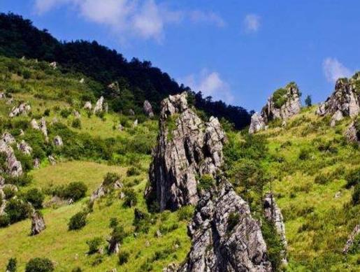 湖北十大好玩的景點(diǎn)排名,武漢大學(xué)、黃鶴樓好看有特色