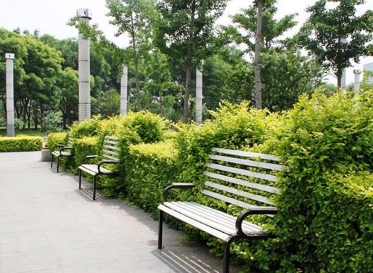 蘭州十大公園排行榜,白塔山公園、銀灘濕地公園環境優雅