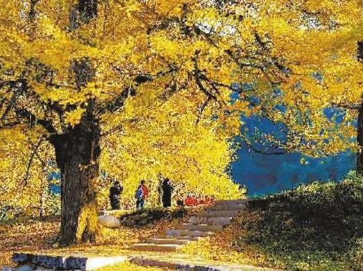 永州十大旅游景點(diǎn)排名,永州江永上甘棠古村、柳子廟吸引游客