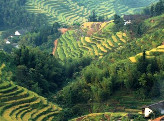 贛州十大風(fēng)景名勝景點(diǎn),羅漢巖風(fēng)景名勝區(qū)、郁孤臺(tái)歷史文化街區(qū)體驗(yàn)感好