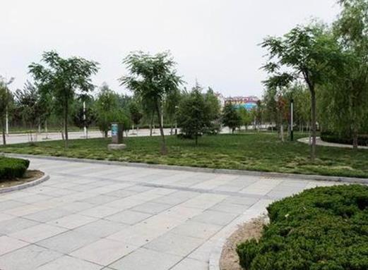 珠海十大公園廣場排名,拱北口岸廣場、板樟山森林公園非常美麗