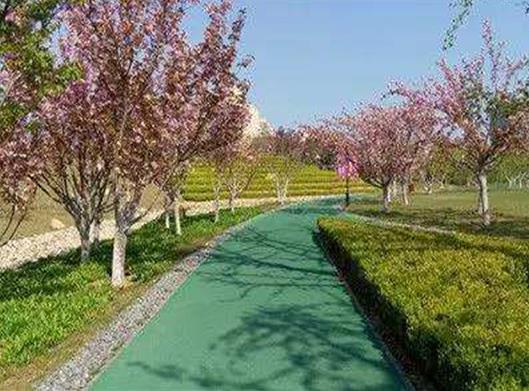 珠海十大公園廣場排名,拱北口岸廣場、板樟山森林公園非常美麗