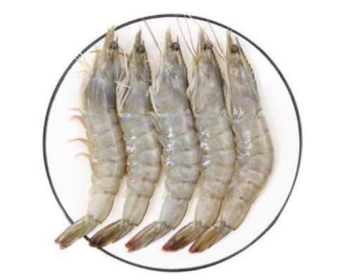 廣東十大河鮮排行榜,鮑魚蛋白質含量高、象拔蚌肉質鮮美