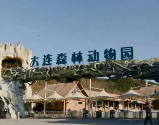 大連十大最好玩的景點排名,老虎灘海洋公園、金石灘風景名勝區很浪漫