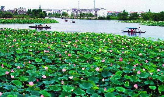 安徽省蕪湖市十大旅游景點排行榜 蕪湖有什么好玩的地方